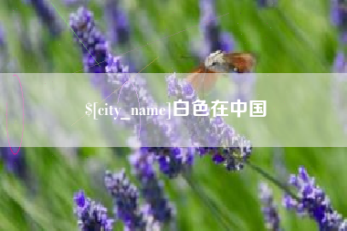 西宁白色在中国