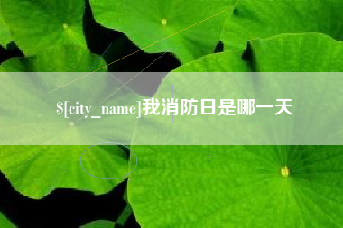 西宁我消防日是哪一天