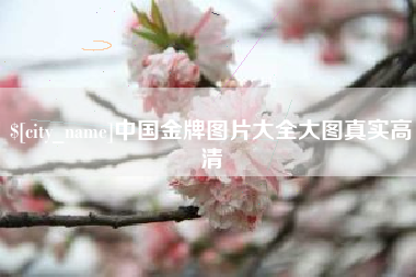 西宁中国金牌图片大全大图真实高清