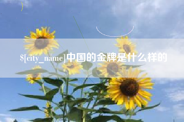 西宁中国的金牌是什么样的