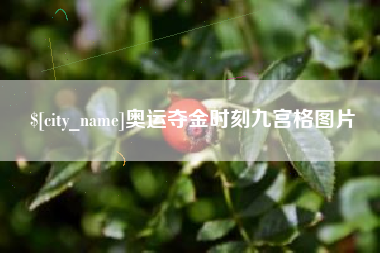 西宁奥运夺金时刻九宫格图片