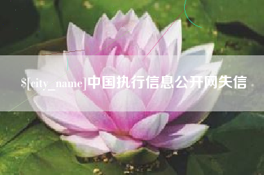 西宁中国执行信息公开网失信