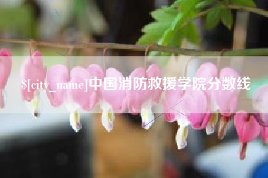 西宁中国消防救援学院分数线