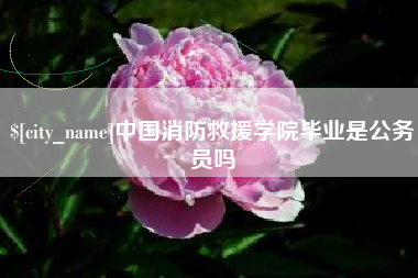 西宁中国消防救援学院毕业是公务员吗