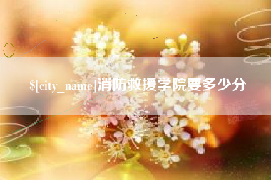 西宁消防救援学院要多少分