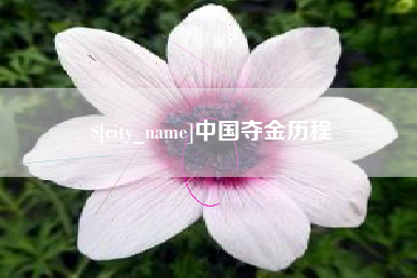西宁中国夺金历程