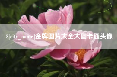 西宁金牌图片大全大图卡通头像