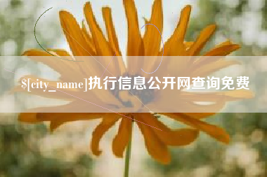 西宁执行信息公开网查询免费